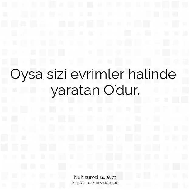 Ayetbul | Kuran Mealleri | Quran | Nuh suresi 14. ayet