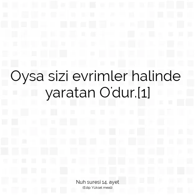 Ayetbul | Kuran Mealleri | Quran | Nuh suresi 14. ayet