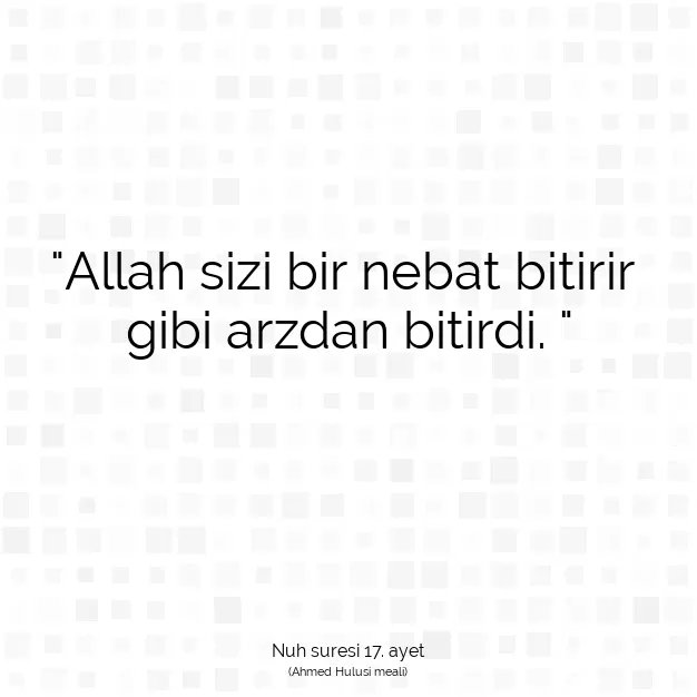 Ayetbul | Kuran Mealleri | Quran | Nuh suresi 17. ayet