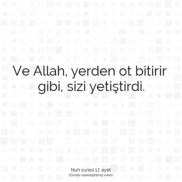 Ayetbul | Kuran Mealleri | Quran | Nuh suresi 17. ayet