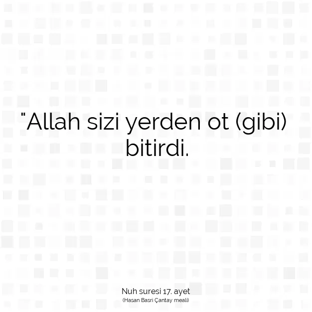 Ayetbul | Kuran Mealleri | Quran | Nuh suresi 17. ayet