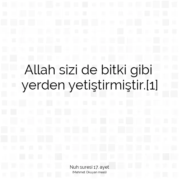 Ayetbul | Kuran Mealleri | Quran | Nuh suresi 17. ayet