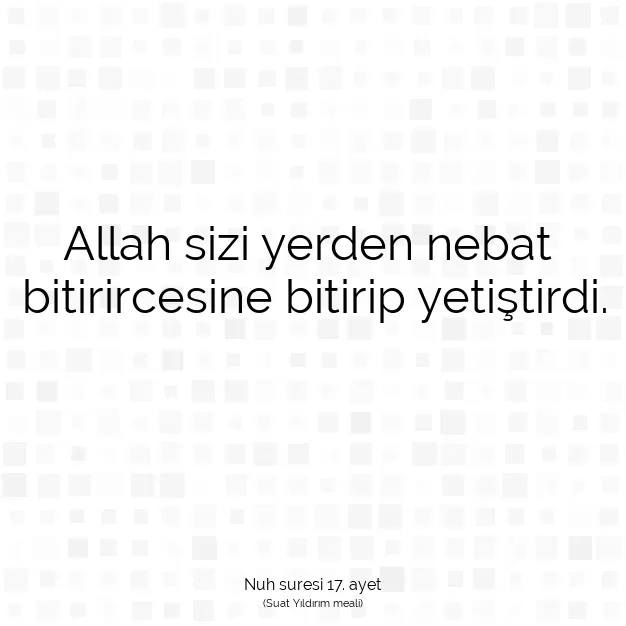 Ayetbul | Kuran Mealleri | Quran | Nuh suresi 17. ayet