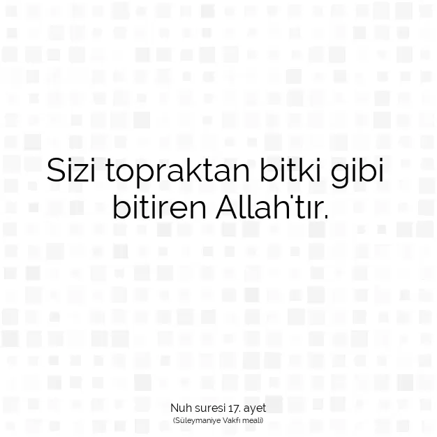 Ayetbul | Kuran Mealleri | Quran | Nuh suresi 17. ayet