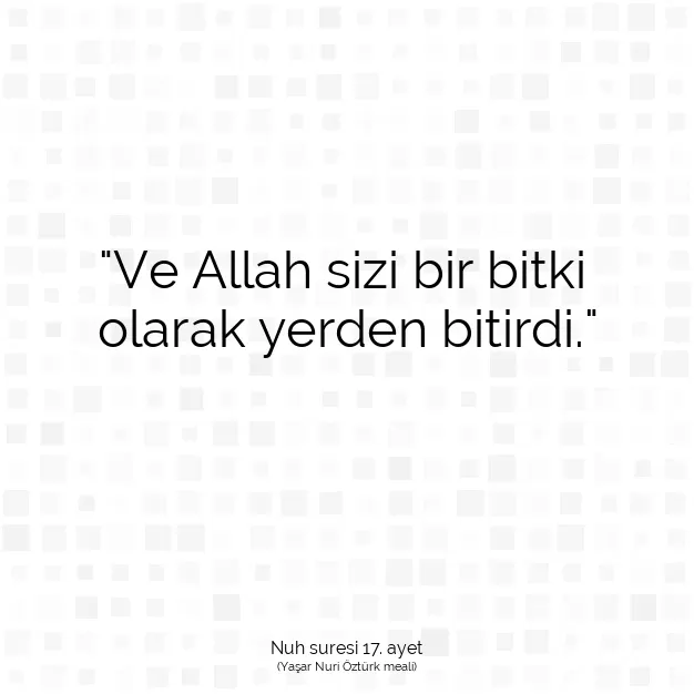 Ayetbul | Kuran Mealleri | Quran | Nuh suresi 17. ayet