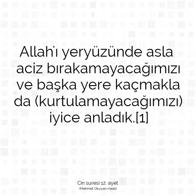 Ayetbul | Kuran Mealleri | Quran | Cin suresi 12. ayet