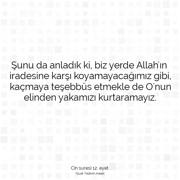 Ayetbul | Kuran Mealleri | Quran | Cin suresi 12. ayet