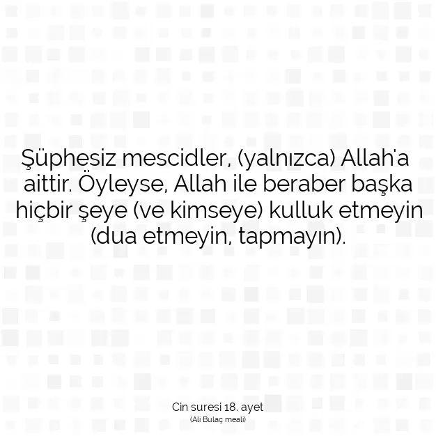 Ayetbul | Kuran Mealleri | Quran | Cin suresi 18. ayet