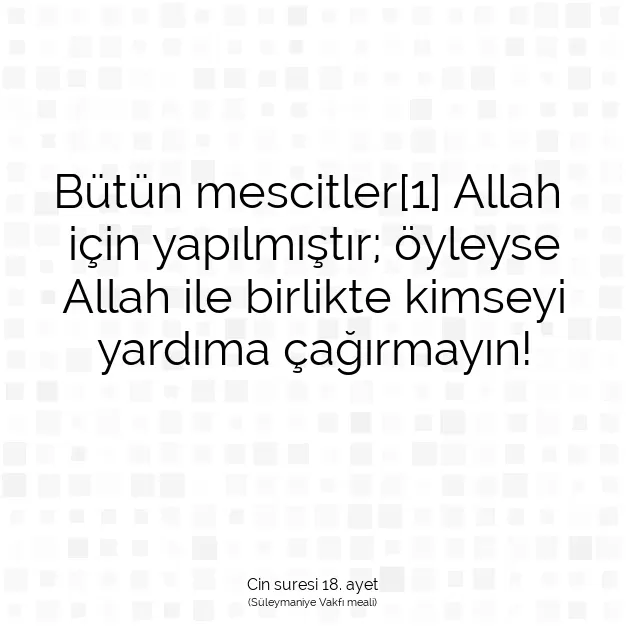 Ayetbul | Kuran Mealleri | Quran | Cin suresi 18. ayet