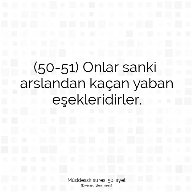 Ayetbul | Kuran Mealleri | Quran | Müddessir suresi 50. ayet