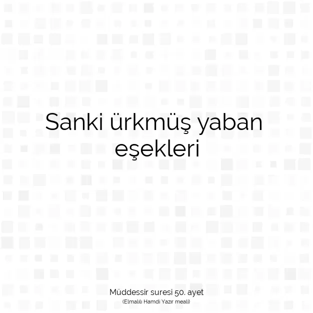 Ayetbul | Kuran Mealleri | Quran | Müddessir suresi 50. ayet