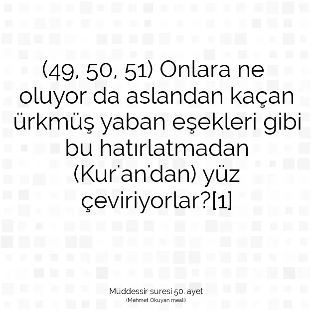 Ayetbul | Kuran Mealleri | Quran | Müddessir suresi 50. ayet