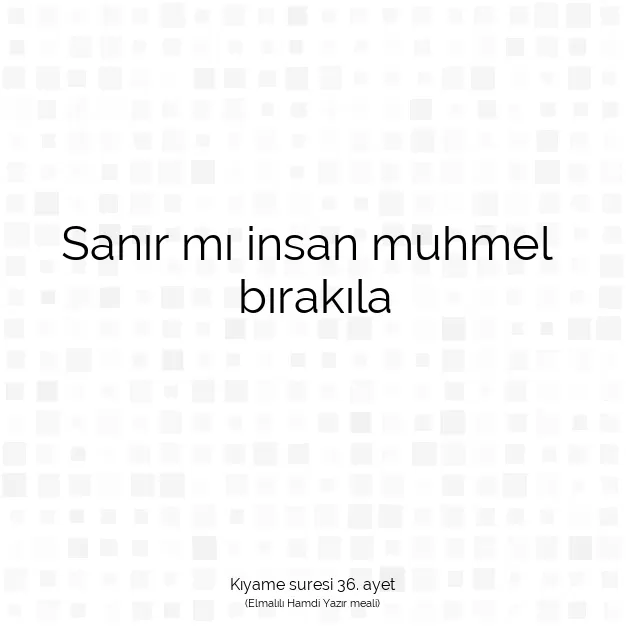 Ayetbul | Kuran Mealleri | Quran | Kıyame suresi 36. ayet