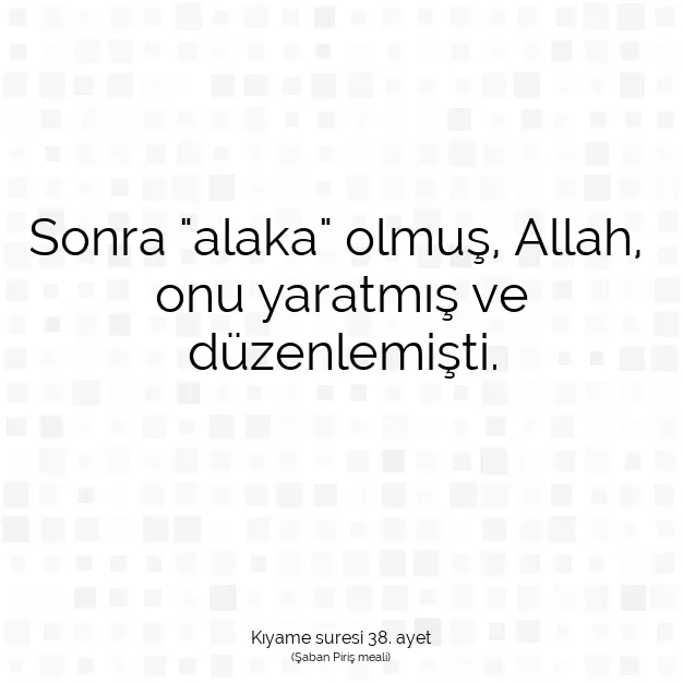 Ayetbul | Kuran Mealleri | Quran | Kıyame suresi 38. ayet