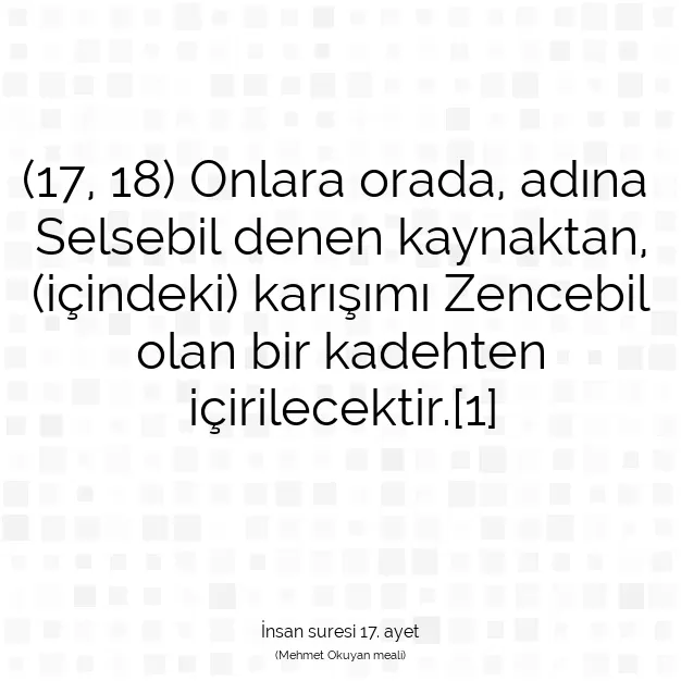 Ayetbul | Kuran Mealleri | Quran | İnsan suresi 17. ayet