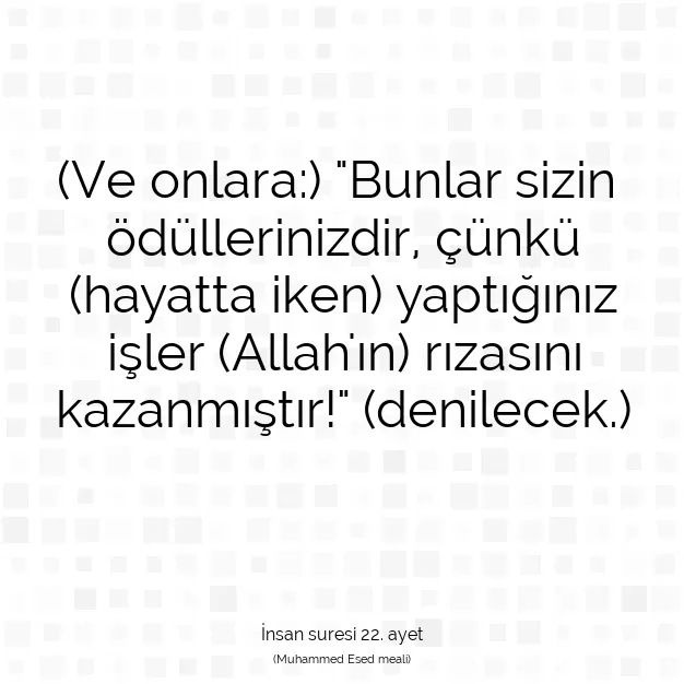 Ayetbul | Kuran Mealleri | Quran | İnsan suresi 22. ayet