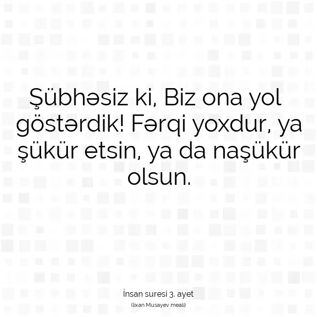 Ayetbul | Kuran Mealleri | Quran | İnsan suresi 3. ayet