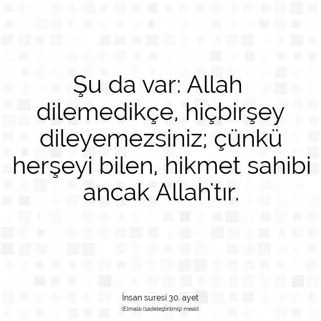 Ayetbul | Kuran Mealleri | Quran | İnsan suresi 30. ayet