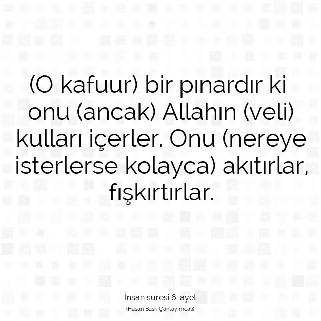 Ayetbul | Kuran Mealleri | Quran | İnsan suresi 6. ayet