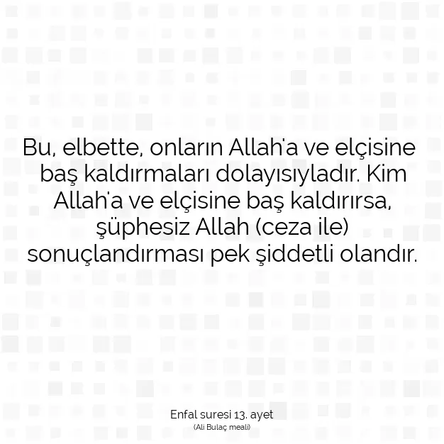 Ayetbul | Kuran Mealleri | Quran | Enfal suresi 13. ayet