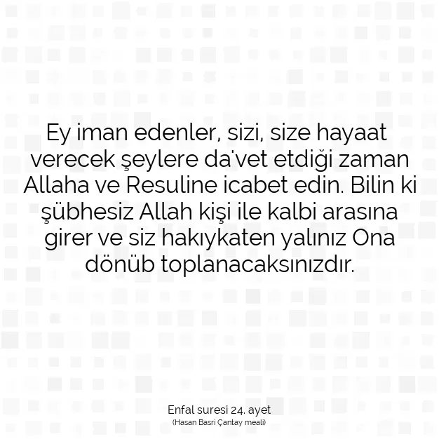 Ayetbul | Kuran Mealleri | Quran | Enfal suresi 24. ayet