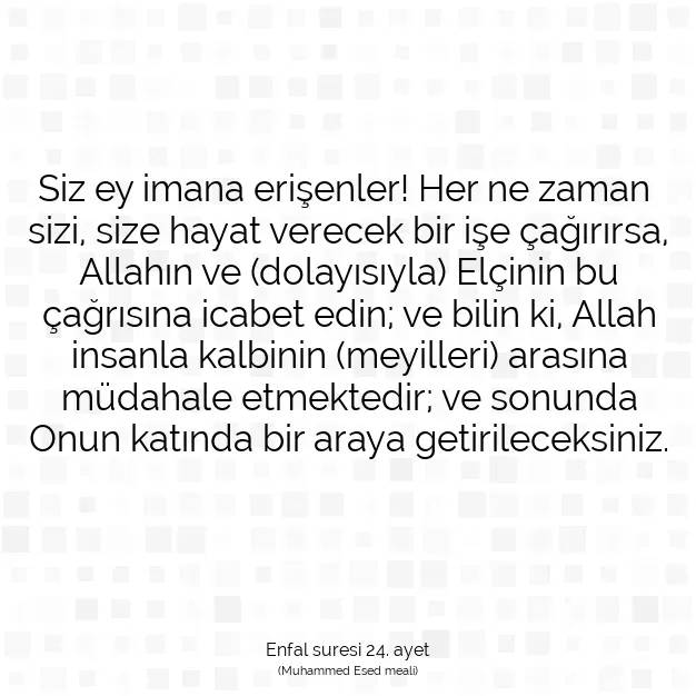 Ayetbul | Kuran Mealleri | Quran | Enfal suresi 24. ayet