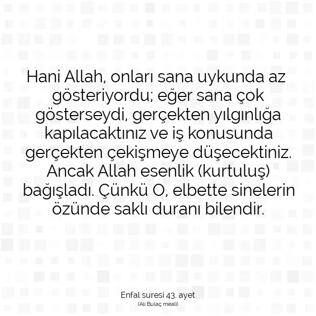 Ayetbul | Kuran Mealleri | Quran | Enfal suresi 43. ayet