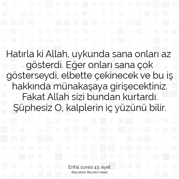 Ayetbul | Kuran Mealleri | Quran | Enfal suresi 43. ayet