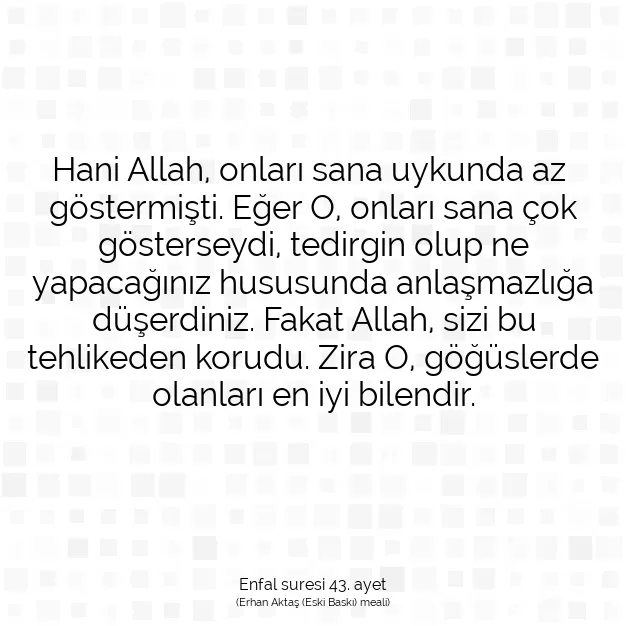 Ayetbul | Kuran Mealleri | Quran | Enfal suresi 43. ayet