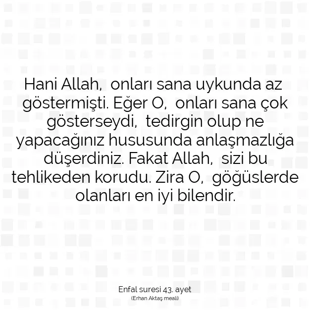 Ayetbul | Kuran Mealleri | Quran | Enfal suresi 43. ayet