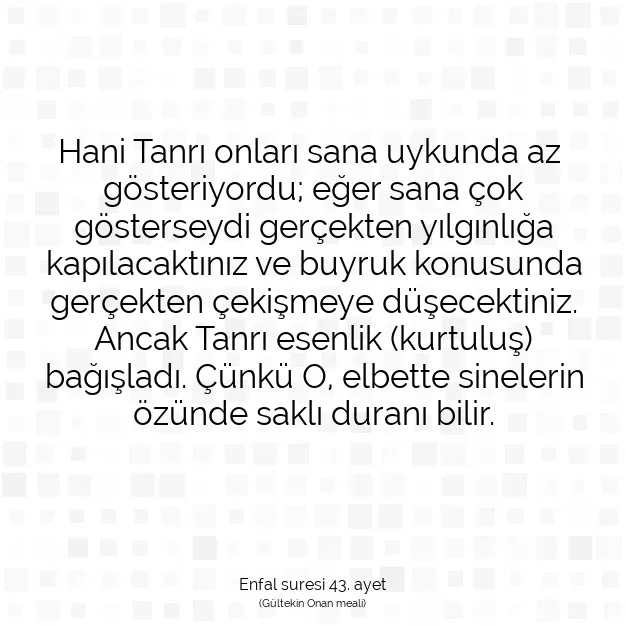 Ayetbul | Kuran Mealleri | Quran | Enfal suresi 43. ayet