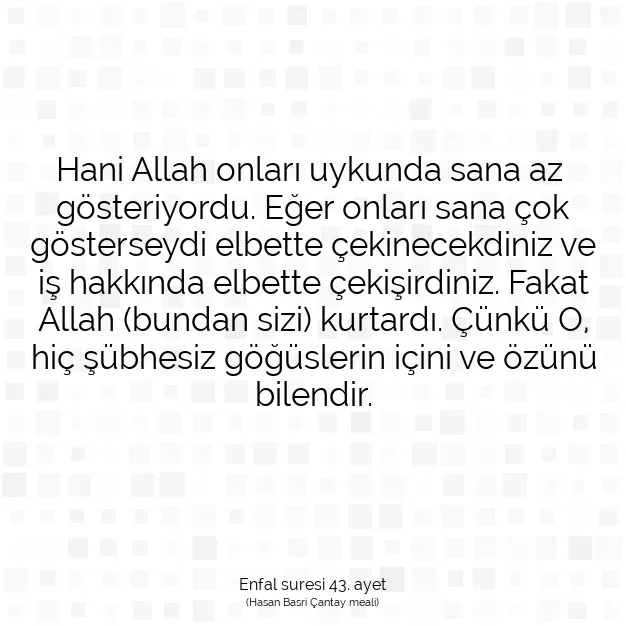 Ayetbul | Kuran Mealleri | Quran | Enfal suresi 43. ayet