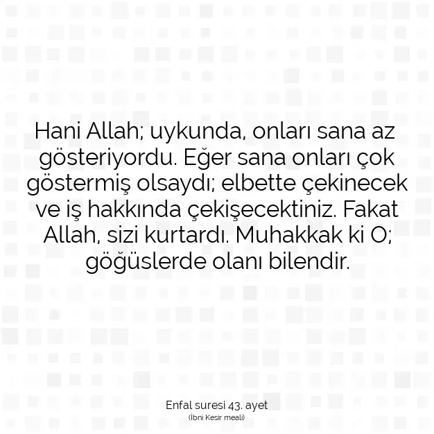 Ayetbul | Kuran Mealleri | Quran | Enfal suresi 43. ayet