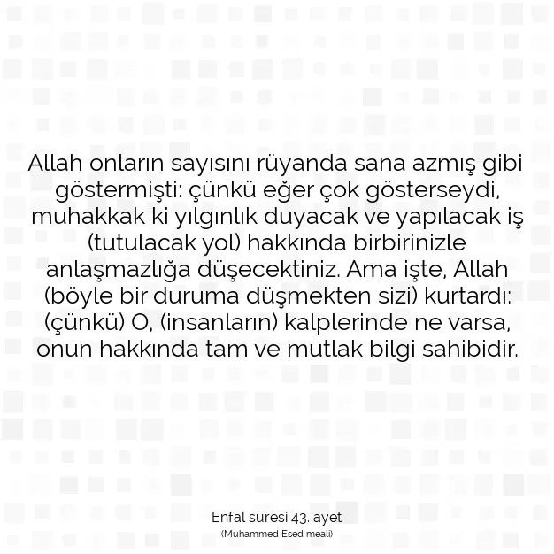 Ayetbul | Kuran Mealleri | Quran | Enfal suresi 43. ayet