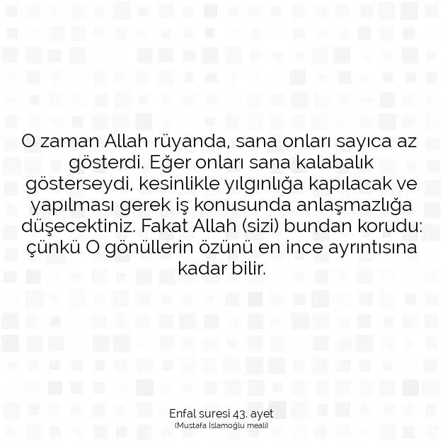 Ayetbul | Kuran Mealleri | Quran | Enfal suresi 43. ayet