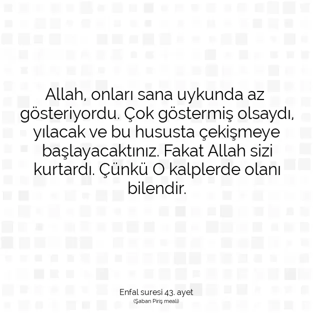 Ayetbul | Kuran Mealleri | Quran | Enfal suresi 43. ayet