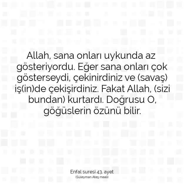 Ayetbul | Kuran Mealleri | Quran | Enfal suresi 43. ayet