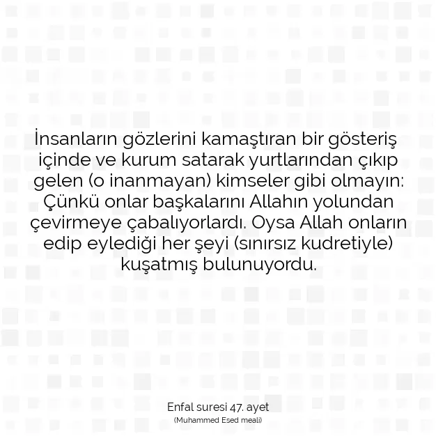 Ayetbul | Kuran Mealleri | Quran | Enfal suresi 47. ayet