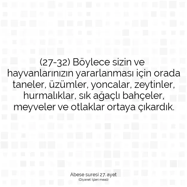 Ayetbul | Kuran Mealleri | Quran | Abese suresi 27. ayet