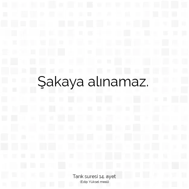 Ayetbul | Kuran Mealleri | Quran | Tarık suresi 14. ayet