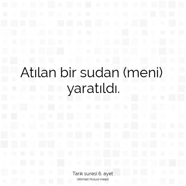 Ayetbul | Kuran Mealleri | Quran | Tarık suresi 6. ayet