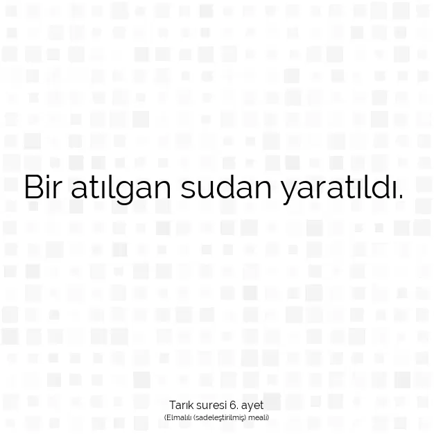 Ayetbul | Kuran Mealleri | Quran | Tarık suresi 6. ayet