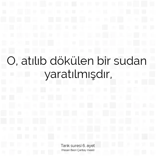 Ayetbul | Kuran Mealleri | Quran | Tarık suresi 6. ayet