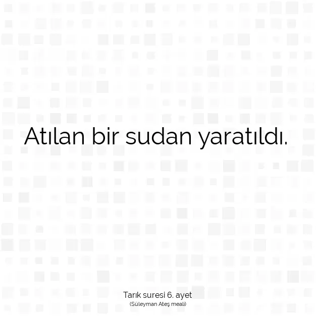 Ayetbul | Kuran Mealleri | Quran | Tarık suresi 6. ayet