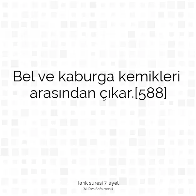 Ayetbul | Kuran Mealleri | Quran | Tarık suresi 7. ayet