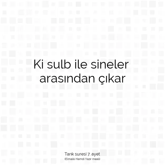 Ayetbul | Kuran Mealleri | Quran | Tarık suresi 7. ayet