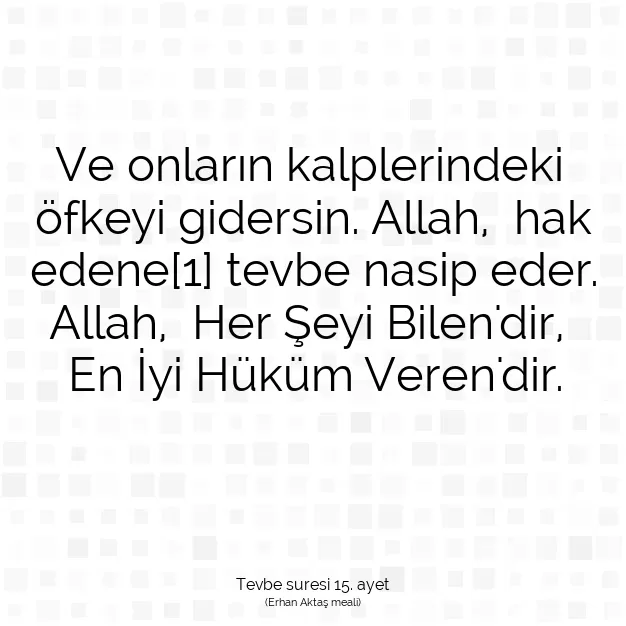 Ayetbul | Kuran Mealleri | Quran | Tevbe suresi 15. ayet