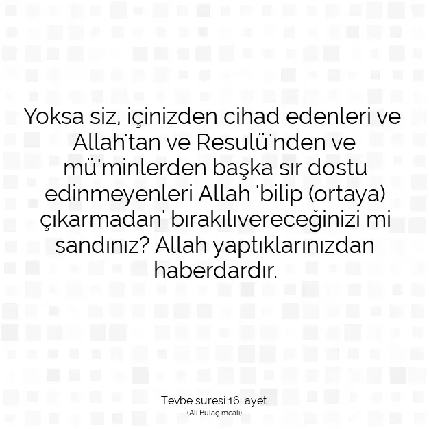 Ayetbul | Kuran Mealleri | Quran | Tevbe suresi 16. ayet