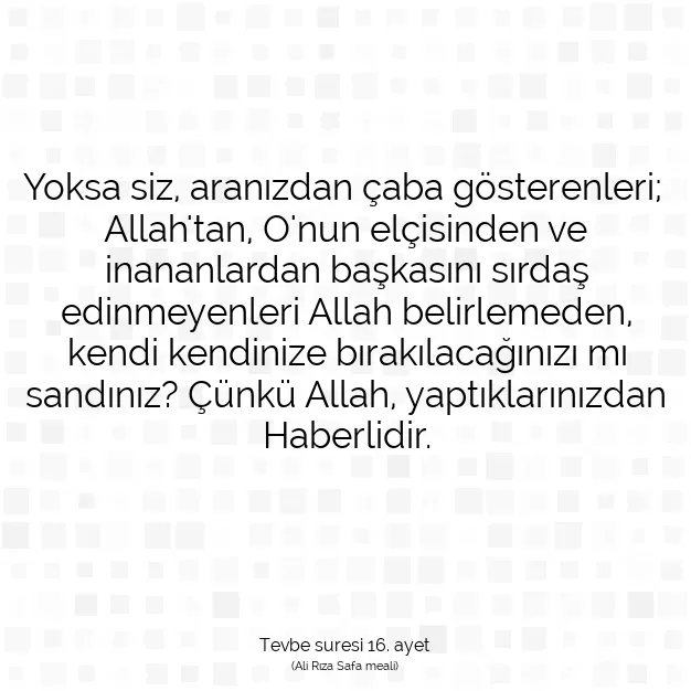 Ayetbul | Kuran Mealleri | Quran | Tevbe suresi 16. ayet