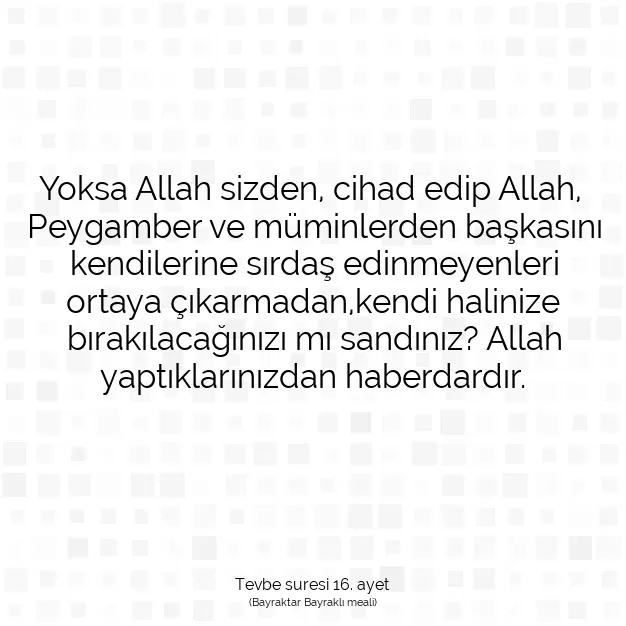 Ayetbul | Kuran Mealleri | Quran | Tevbe suresi 16. ayet